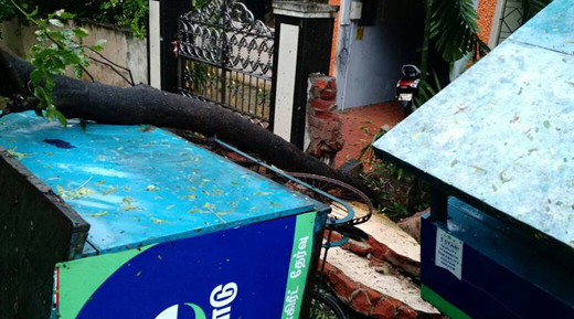 Cyclone 15 dec 16